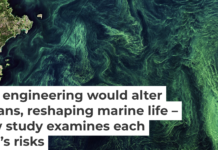 Phytoplankton blooms, seen by satellite in the Baltic Sea, pull carbon dioxide out of the atmosphere. European Space Agency via Flickr, CC BY-SA